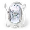 Кресло-качалка Ingenuity ConvertMe Swing-2-Seat (12055) изображение 2