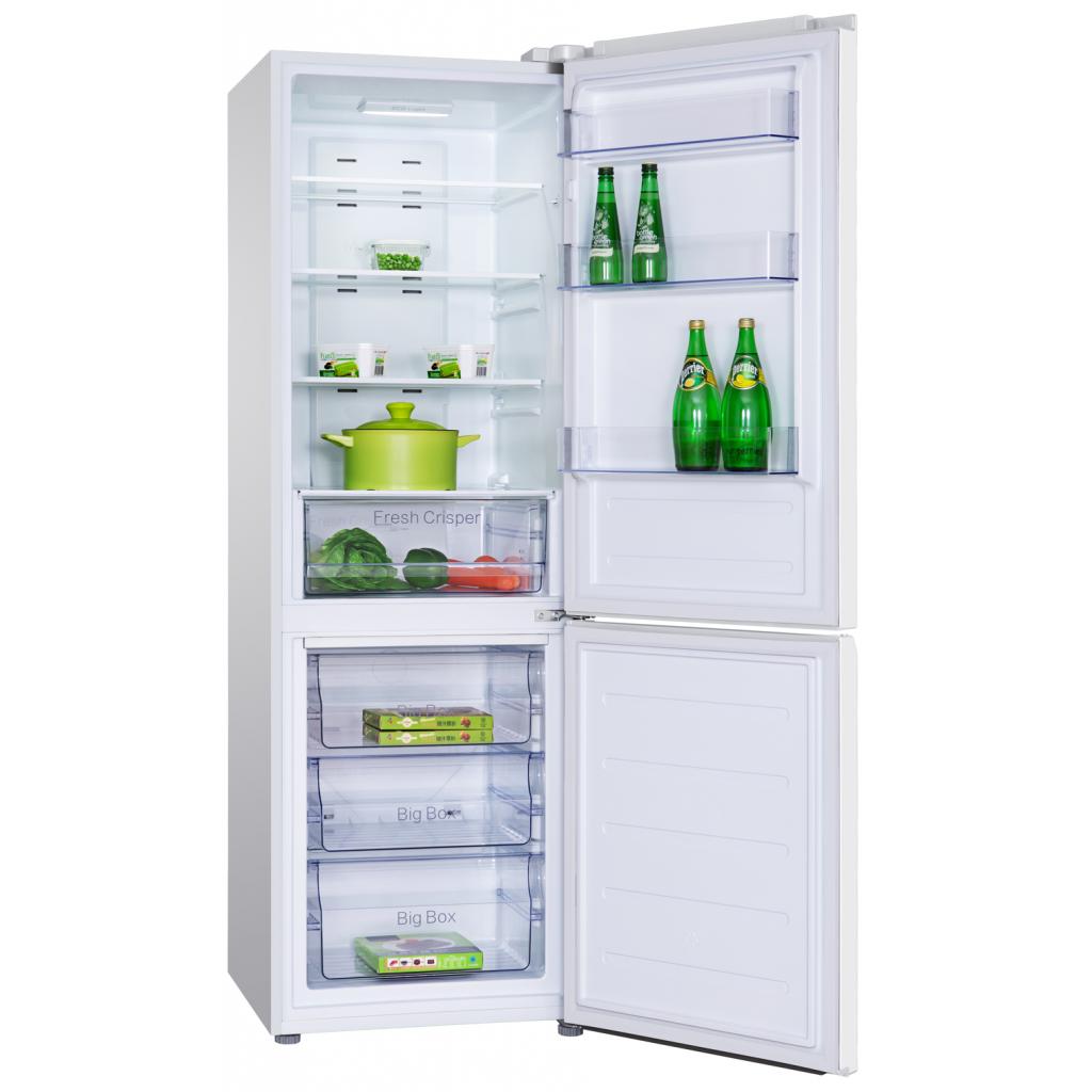 Холодильник TCL RB315WM1110 изображение 7