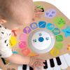 Игровой развивающий центр Baby Einstein Clever Composer Tune Magic Touch (12398) изображение 5