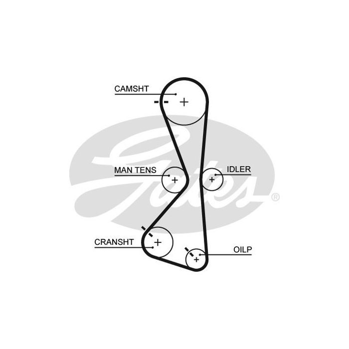 Ремень ГРМ Gates 5609XS