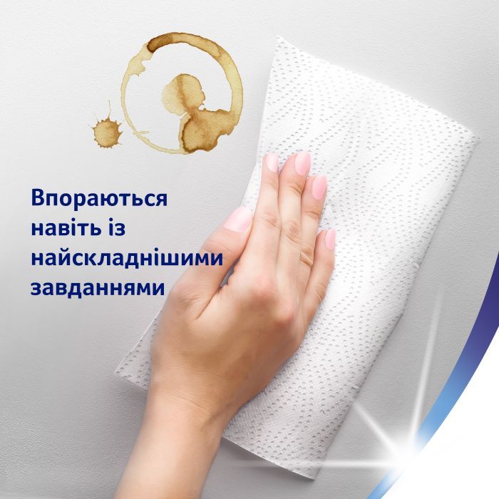 Бумажные полотенца Zewa Wisch & Weg 2 слоя 4 рулона (7322541210841) изображение 6