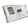 Книга Ключові події в мистецтві - Лі Чешир BookChef (9786175480274) зображення 6