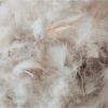 Ковдра MirSon пухова Raffaello 052 зима 220x240 см (2200005895047) зображення 3