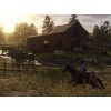Игра Sony Red Dead Redemption 2, BD диск (5026555423052) изображение 4