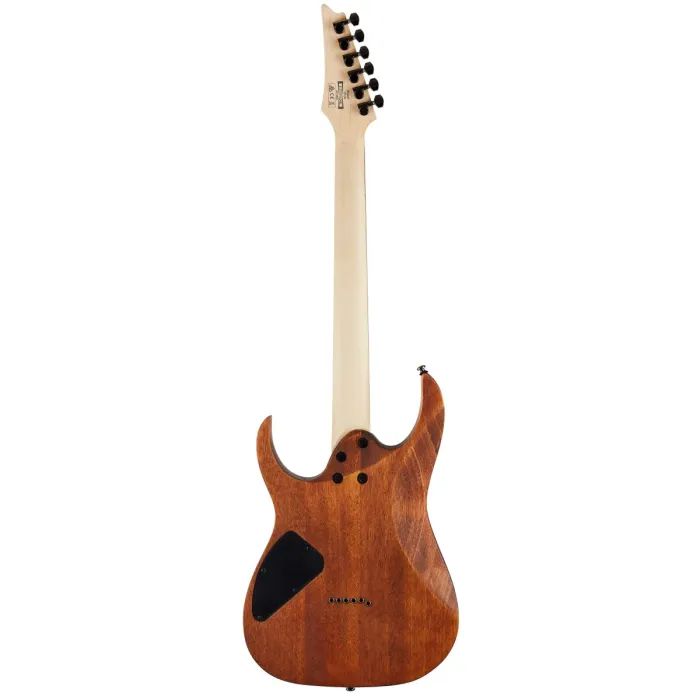 Электрогитара Ibanez RG421 MOL (220672) изображение 2
