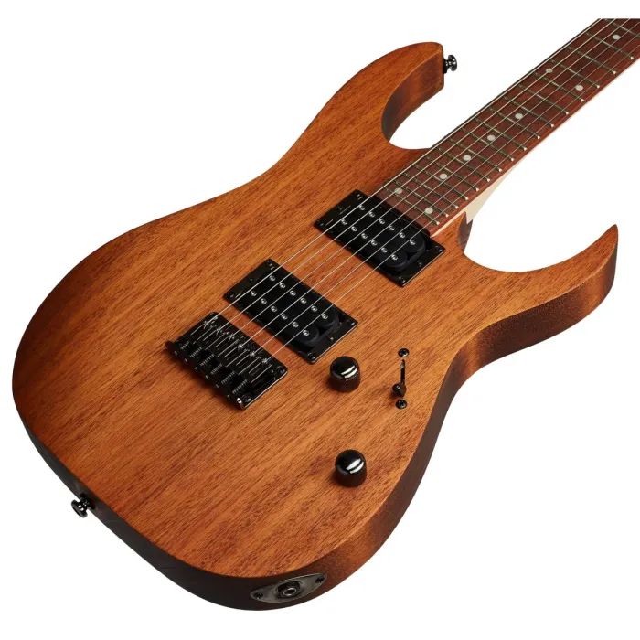 Электрогитара Ibanez RG421 MOL (220672) изображение 3