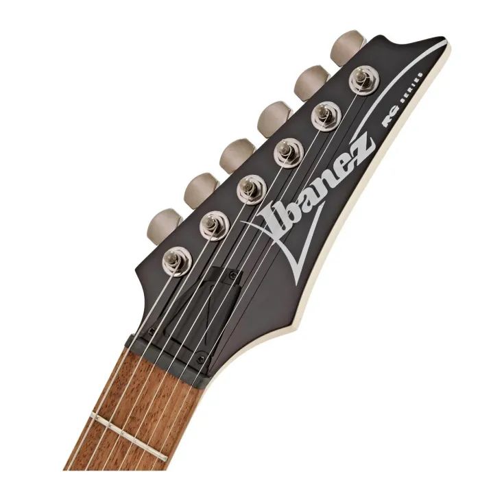 Электрогитара Ibanez RG421 MOL (220672) изображение 6