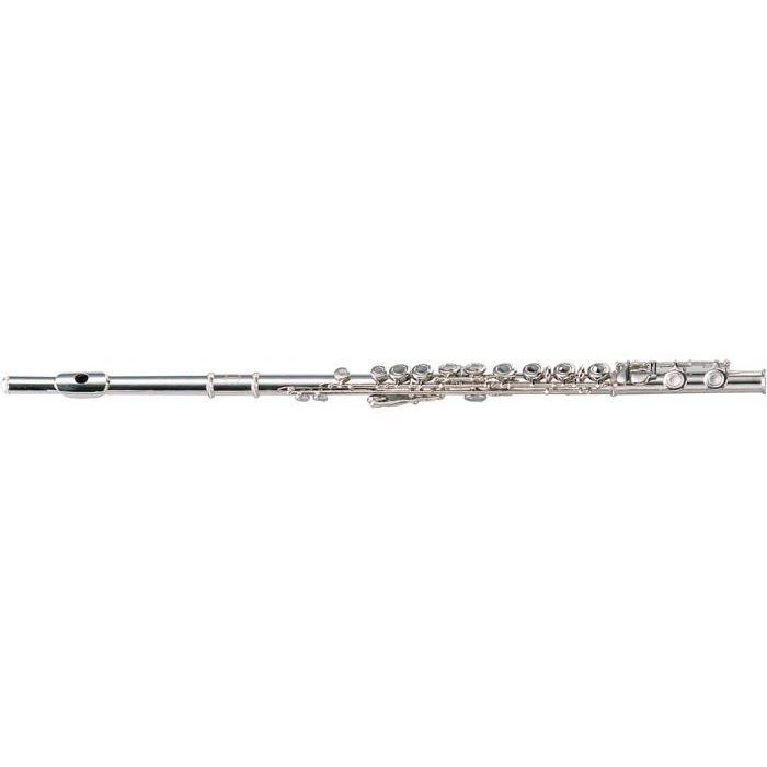 Флейта Maxtone TFC60N