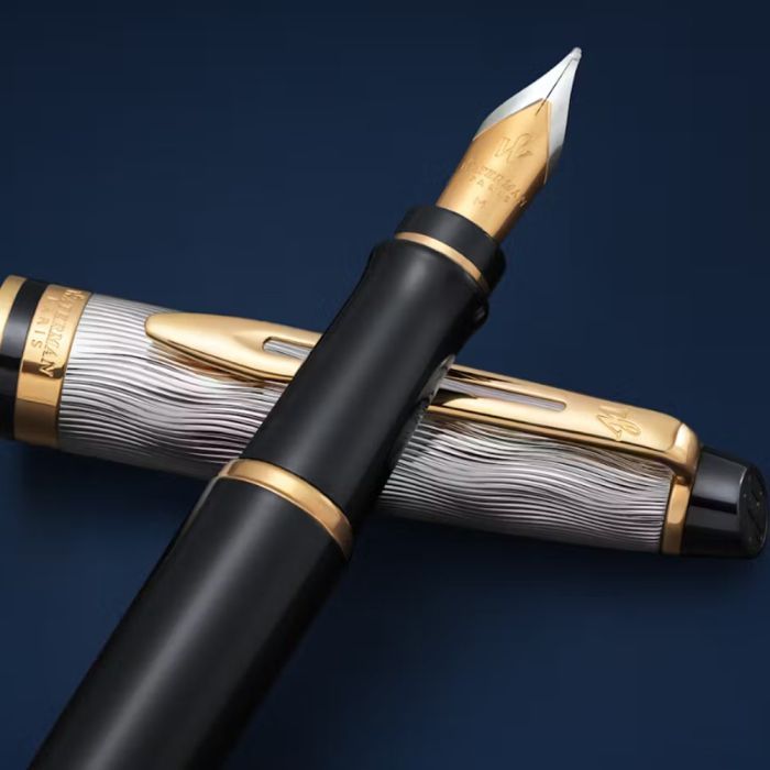 Ручка пір'яна Waterman EXPERT Reflections Of Paris GT  FP M (12 760.M) зображення 5