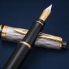 Ручка пір'яна Waterman EXPERT Reflections Of Paris GT  FP M (12 760.M) зображення 5