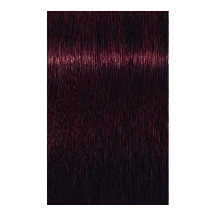 Краска для волос Schwarzkopf Professional Igora Royal 6-00 60 мл (4045787204766) изображение 2