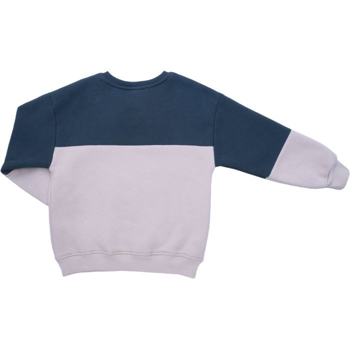 Спортивный костюм детский Smile на флисе (4228-134B-gray) изображение 4