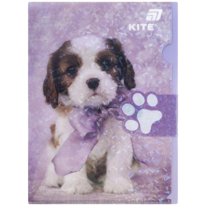 Папка - куточок Kite із клапаном A4 Rachael Hale (R25-248)