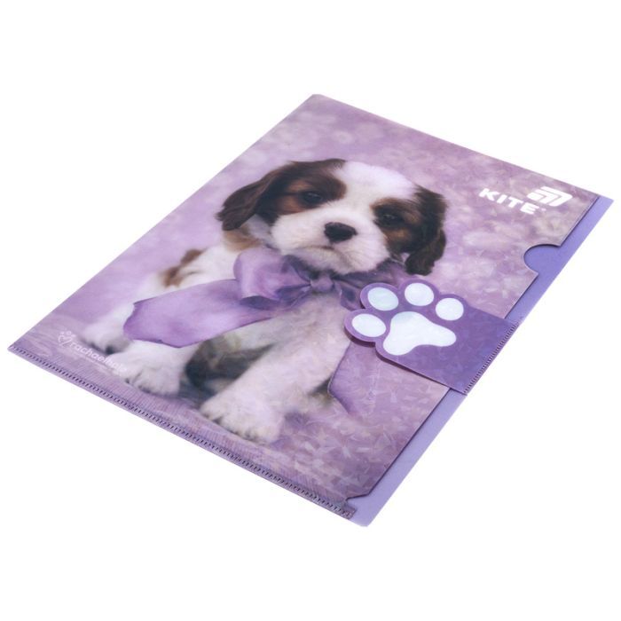 Папка - куточок Kite із клапаном A4 Rachael Hale (R25-248) зображення 2