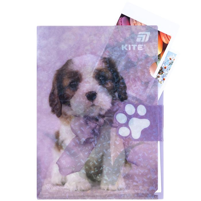 Папка - куточок Kite із клапаном A4 Rachael Hale (R25-248) зображення 5