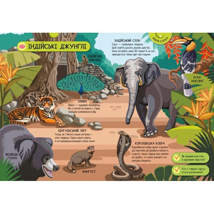 Книга Велика ігрова енциклопедія. Тварини світу - А. Толмачова Ранок (9786170974723) зображення 6