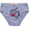 Трусы детские BiyoKids набор (2527-140B-mix) изображение 5