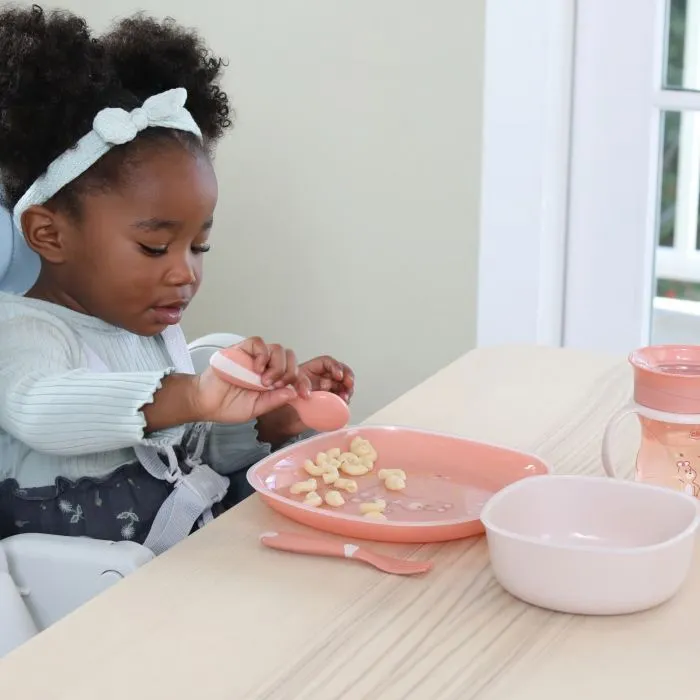 Пустышка Chicco Dish Set" 12м+ (16002.15) изображение 8