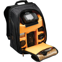 Рюкзак для ноутбука Case Logic 17" Camera/Laptop SLRC206 Black (SLRC206) изображение 3