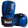 Боксерские перчатки PowerPlay 3017 14oz Blue (PP_3017_14oz_Blue)