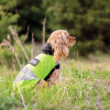 Жилет для животных Pet Fashion "Warm Yellow Vest" S (4823082417223) изображение 10