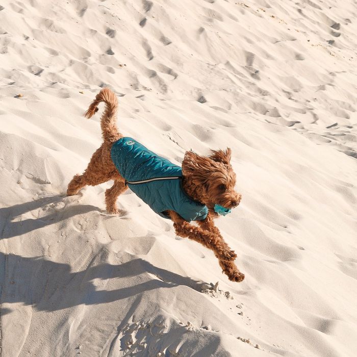 Жилет для тварин Pet Fashion E.Vest морська хвиля S-M (4823082424146) зображення 4