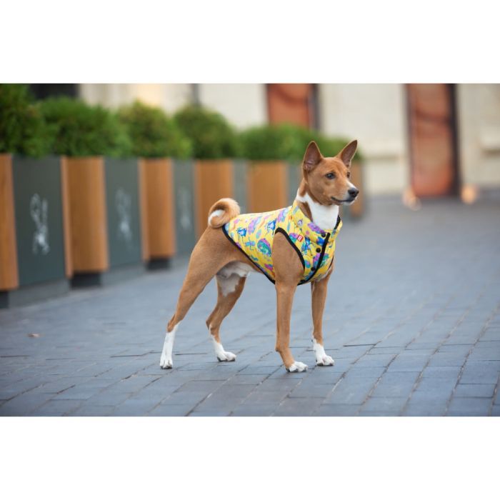 Курточка для животных WAUDOG Clothes "Рик и Морти 3" S30 (0931-0282) изображение 3