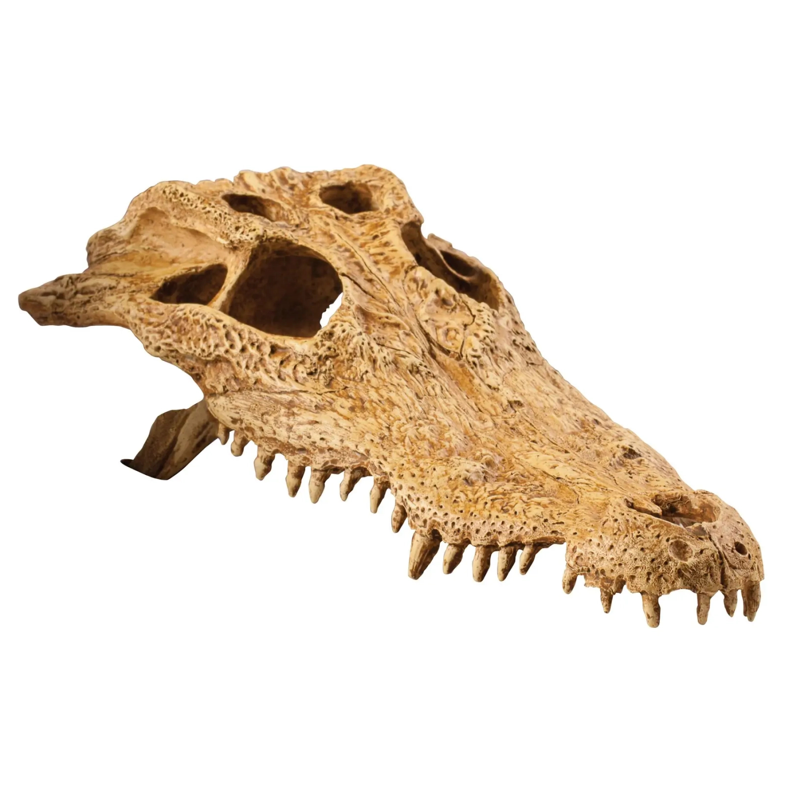 Декорация для террариума ExoTerra Череп крокодила (пластик) (015561228565)