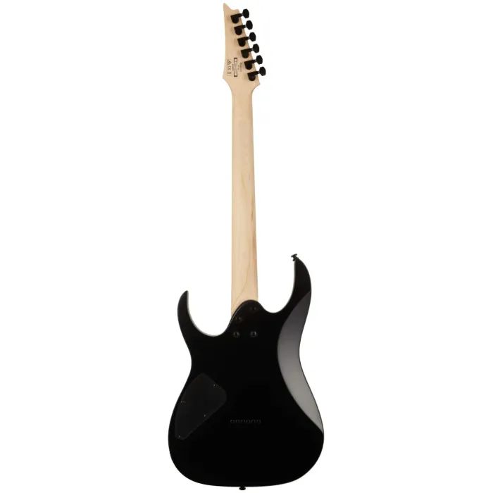 Електрогітара Ibanez RG421EX BKF (220670) зображення 2