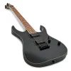 Електрогітара Ibanez RG421EX BKF (220670) зображення 4
