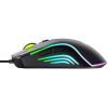 Мышка Havit HV-MS1029 USB Black (6939119067229) изображение 4
