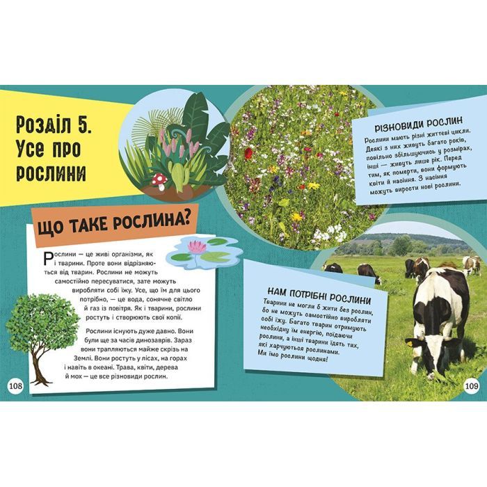 Книга Довколапитань. Енциклопедія юних розумників - Ненсі Дікман Ранок (9786170982056) изображение 10