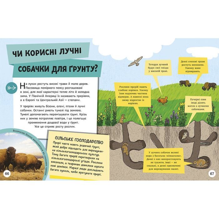 Книга Довколапитань. Енциклопедія юних розумників - Ненсі Дікман Ранок (9786170982056) изображение 7