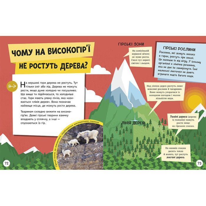 Книга Довколапитань. Енциклопедія юних розумників - Ненсі Дікман Ранок (9786170982056) изображение 8