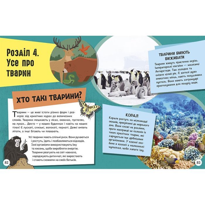 Книга Довколапитань. Енциклопедія юних розумників - Ненсі Дікман Ранок (9786170982056) изображение 9