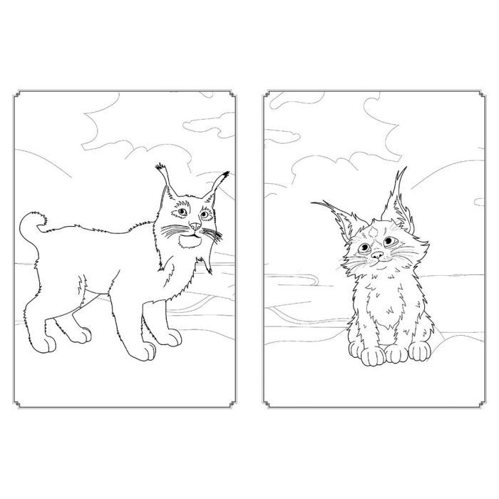 Книга Мавка. Магія кольору. Магічний Ліс Ранок (9789667513306) зображення 2