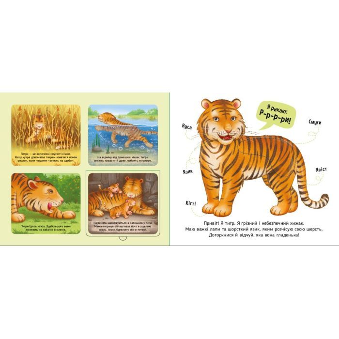 Книга Познайомся і погладь. Тварини світу - І.С. Потаніна Ранок (9789667617776) зображення 2