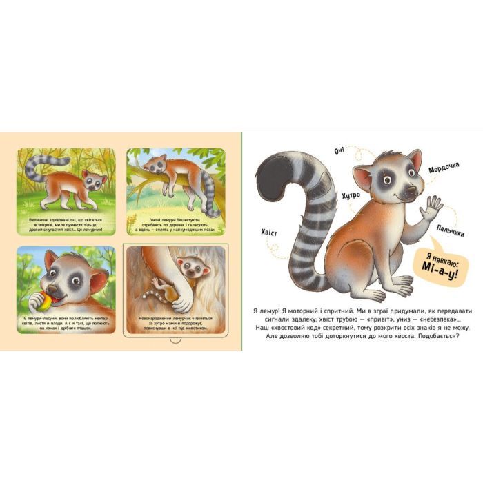 Книга Познайомся і погладь. Тварини світу - І.С. Потаніна Ранок (9789667617776) зображення 3