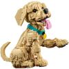 Конструктор LEGO Icons Цуценя золотистого ретривера (11384) зображення 3