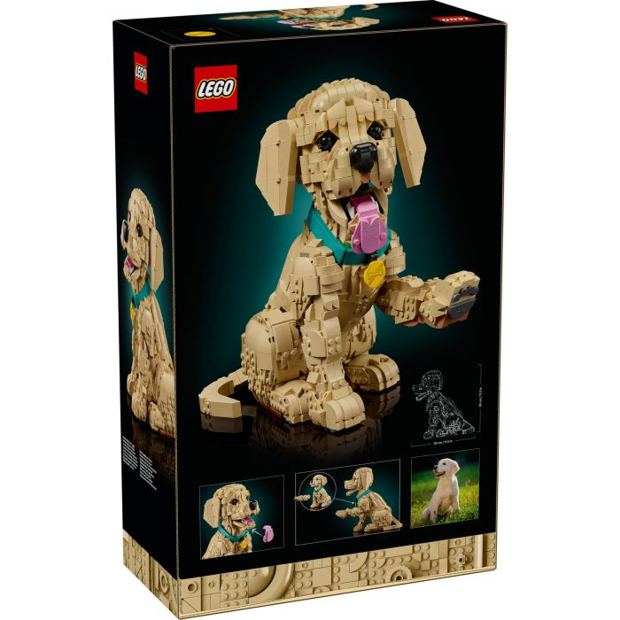 Конструктор LEGO Icons Цуценя золотистого ретривера (11384) зображення 8