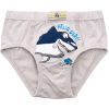 Трусы детские BiyoKids набор (2575-92B-mix) изображение 5
