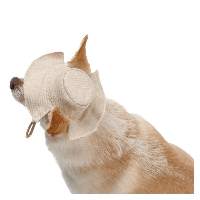 Кепка для тварин Pet Fashion Gold L (4823082446025) зображення 4