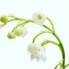 Олія для волосся La'dor Angel Muguet 30 мл (8809982982562) зображення 4