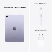 Планшет Apple iPad mini 2021 Wi-Fi 256GB, Starlight (MK7V3RK/A) изображение 7