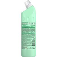Жидкость для чистки ванн Domestos Свежесть леса 750 мл (8714100866061) изображение 2