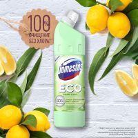 Жидкость для чистки ванн Domestos Свежесть леса 750 мл (8714100866061) изображение 3