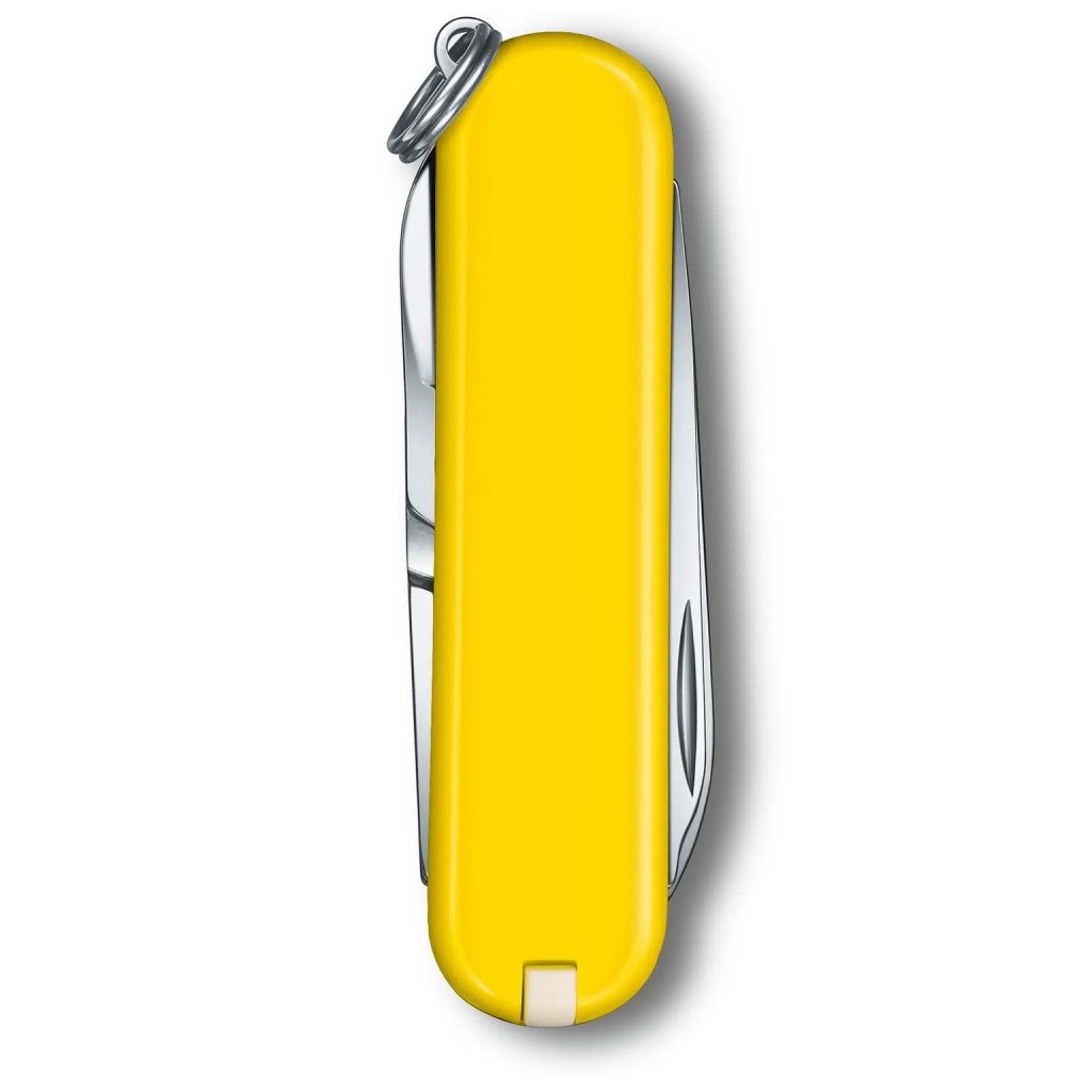 Нож Victorinox Classic SD Colors Smashed Avocado (0.6223.43G) изображение 3