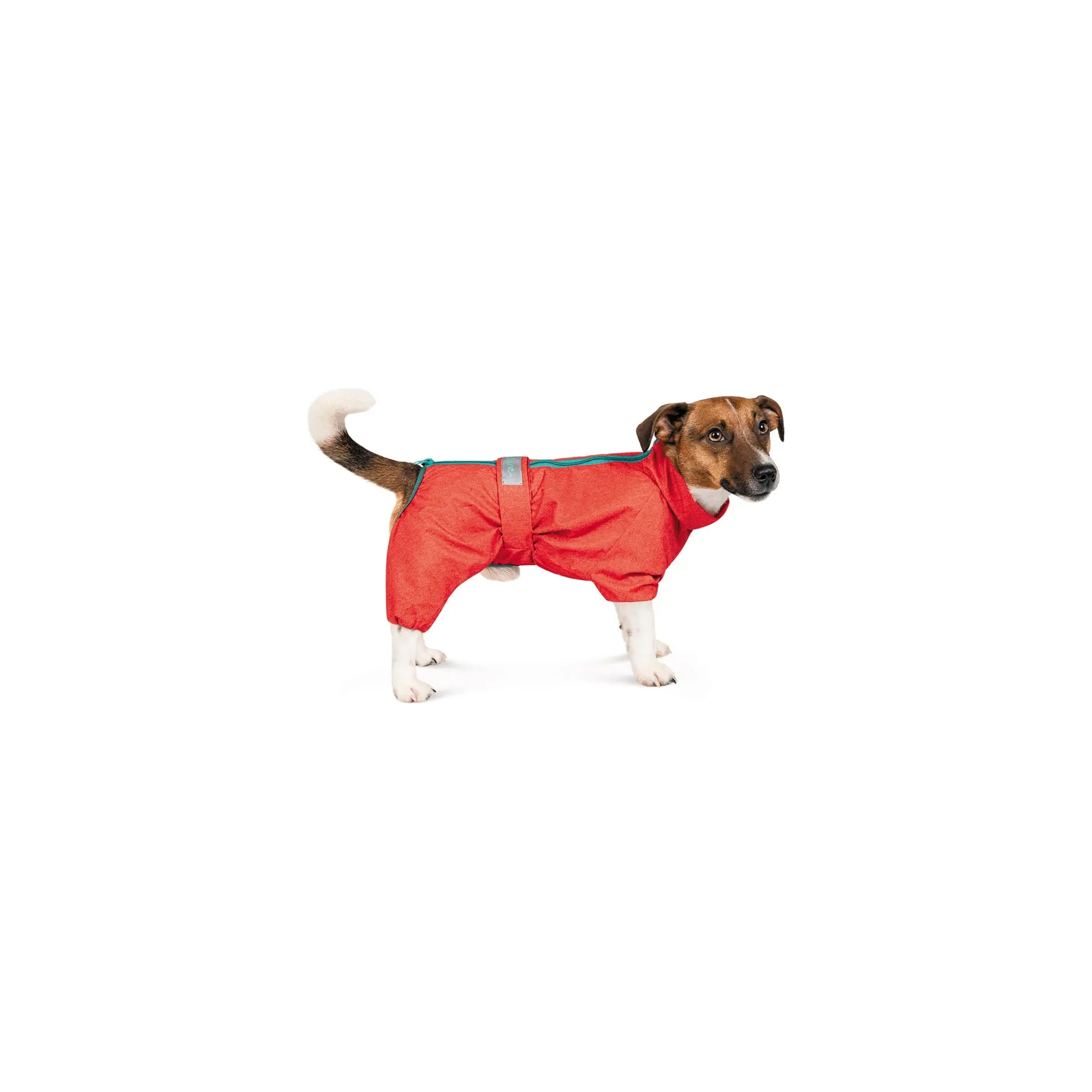 Комбинезон для животных Pet Fashion "RAIN" 4XL (красный) (4823082425525)