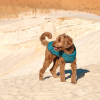 Жилет для животных Pet Fashion E.Vest морская волна XL (4823082424184) изображение 3