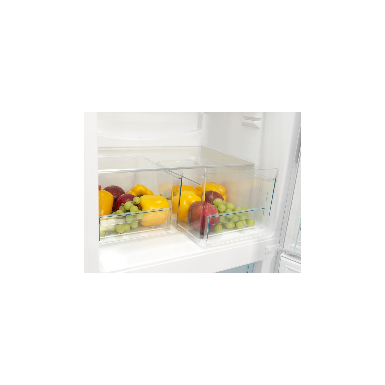 Холодильник Snaige RF27SM-P0002E зображення 8
